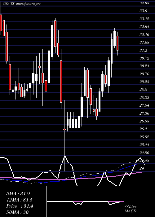 weekly chart TerniumS
