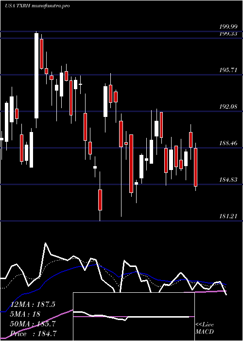 Daily chart TexasRoadhouse