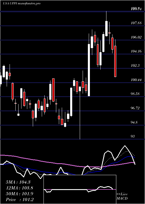 Daily chart UniversalForest