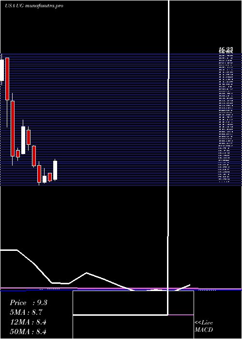 monthly chart UnitedGuardian