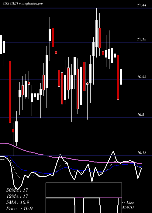 Daily chart UmhProperties