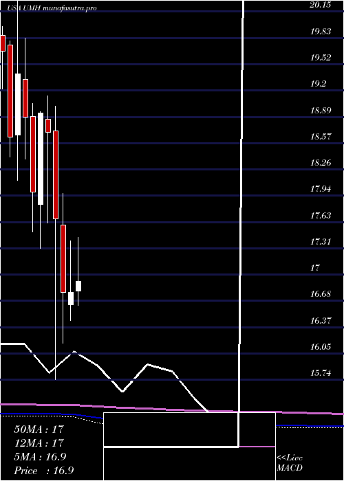 monthly chart UmhProperties