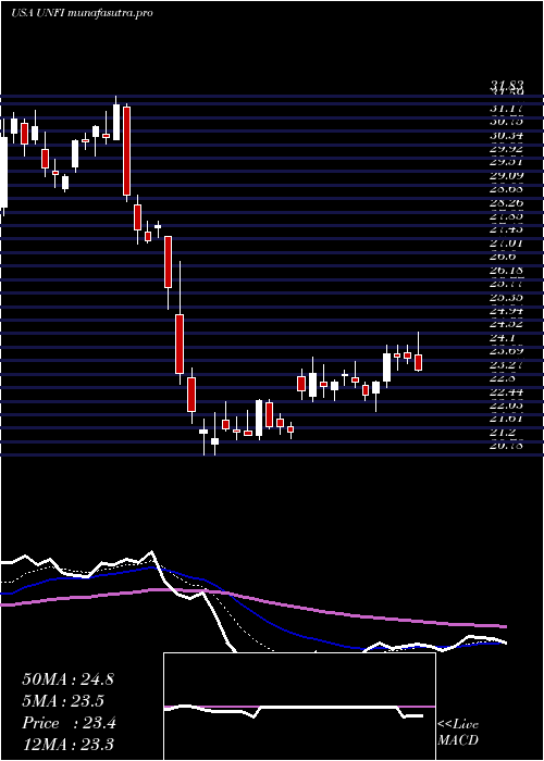 Daily chart UnitedNatural