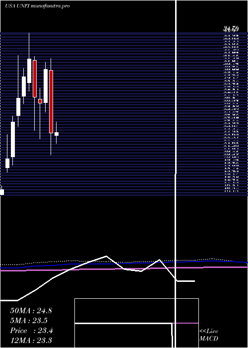 monthly chart UnitedNatural