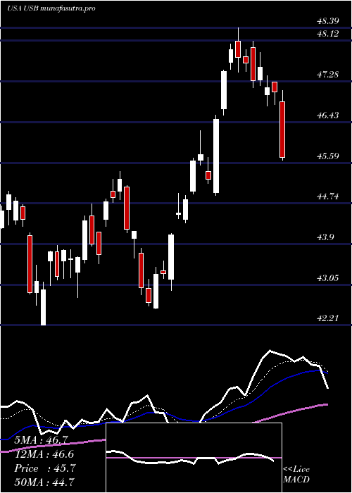 Daily chart US