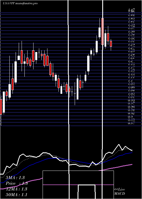 Daily chart VillageFarms