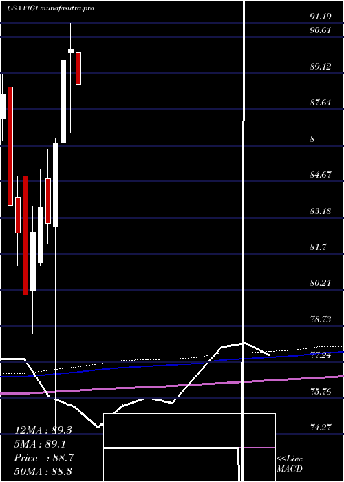 monthly chart VanguardInternational