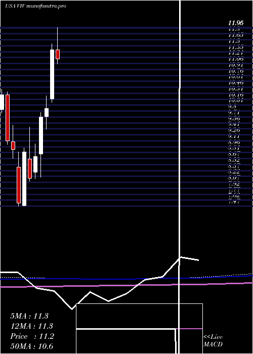 monthly chart TelefonicaBrasil
