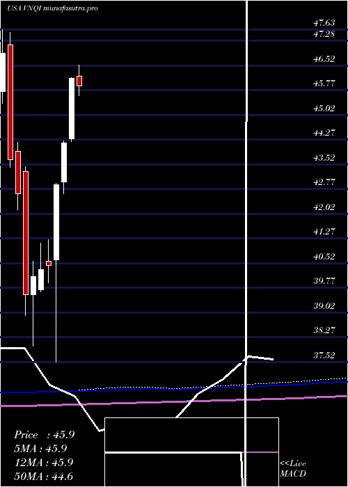monthly chart VanguardGlobal
