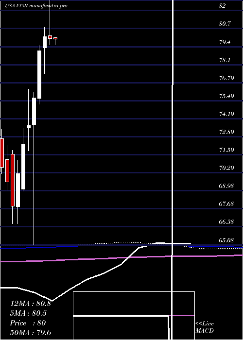 monthly chart VanguardInternational