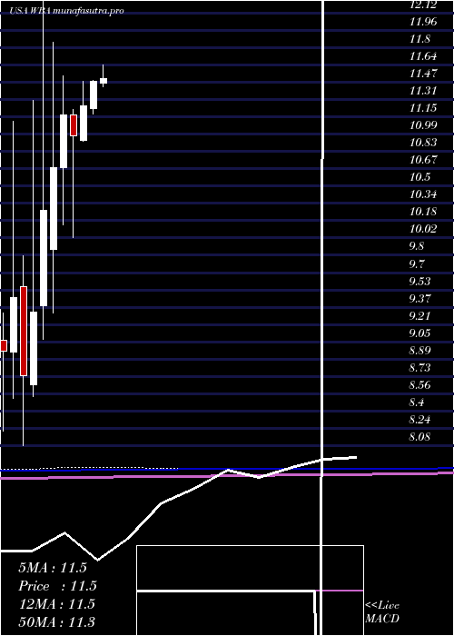 monthly chart WalgreensBoots