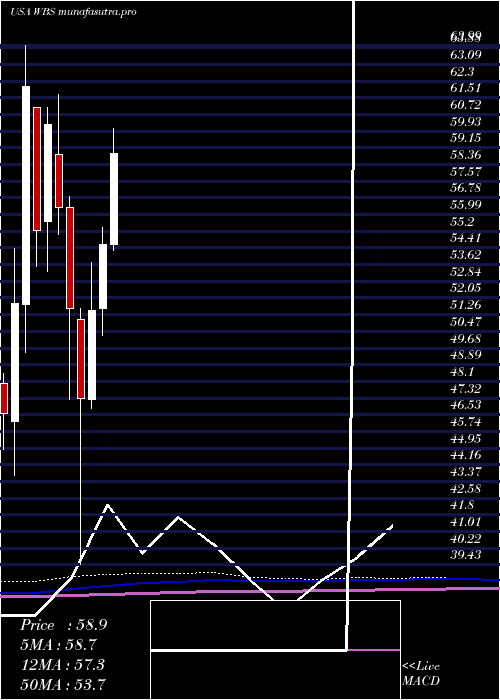 monthly chart WebsterFinancial