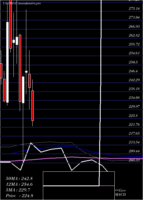 monthly chart WorkdayInc