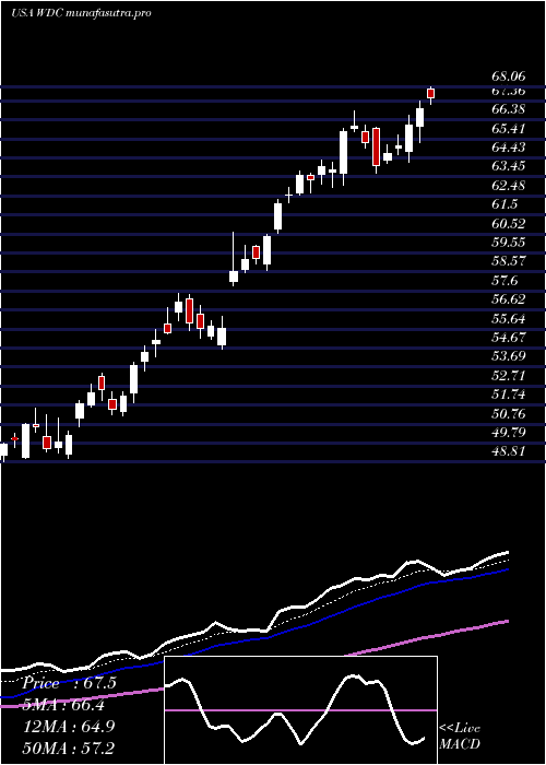 Daily chart WesternDigital