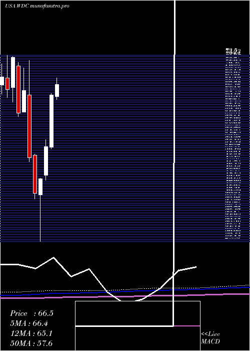 monthly chart WesternDigital