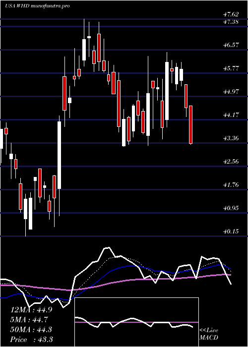 Daily chart CactusInc