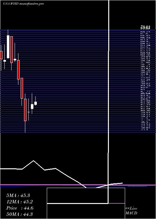 monthly chart CactusInc
