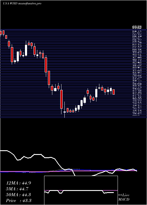 weekly chart CactusInc