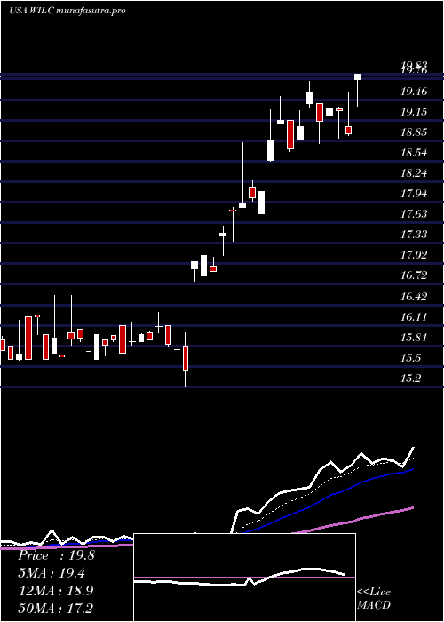 Daily chart GWilli