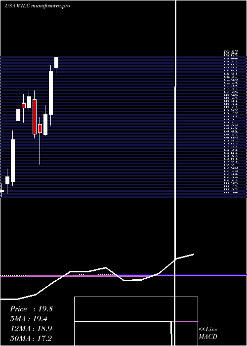 monthly chart GWilli