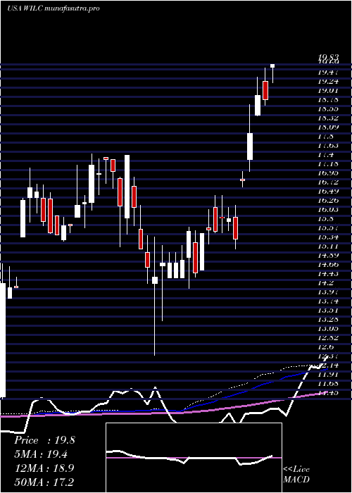 weekly chart GWilli