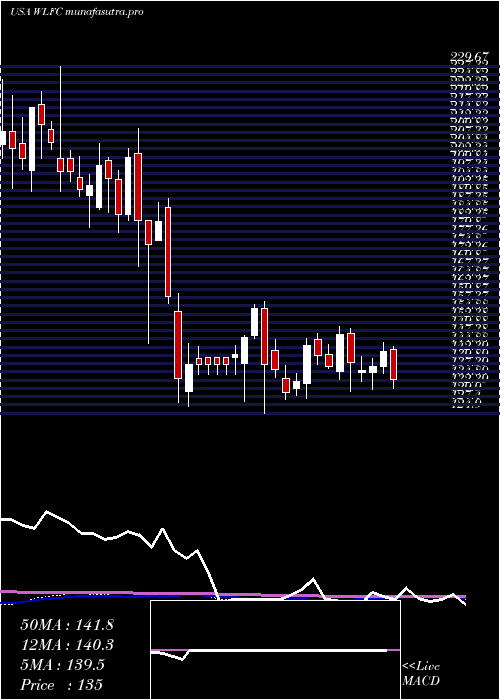  weekly chart WillisLease