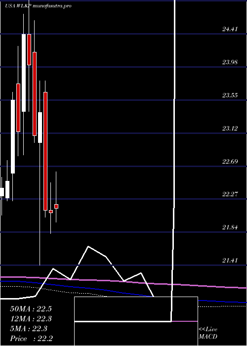 monthly chart WestlakeChemical