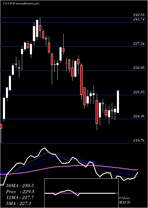 Daily chart WasteManagement