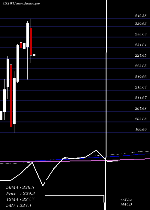 monthly chart WasteManagement