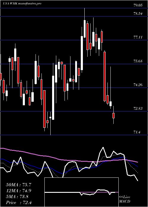  Daily chart WeisMarkets