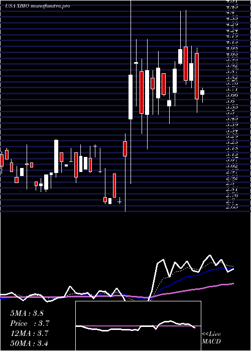 Daily chart XeneticBiosciences