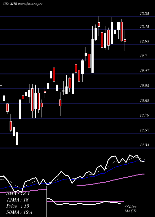 Daily chart XeniaHotels