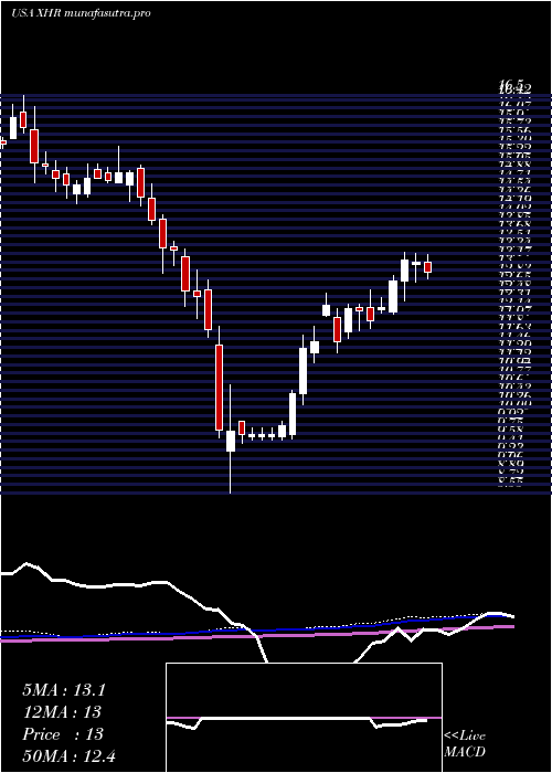 weekly chart XeniaHotels