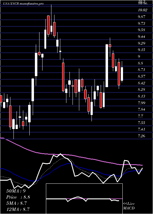 Daily chart XencorInc