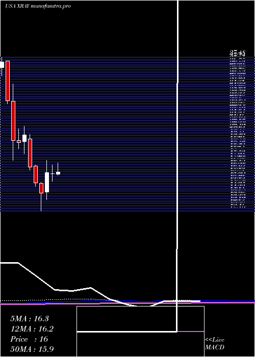 monthly chart DentsplySirona