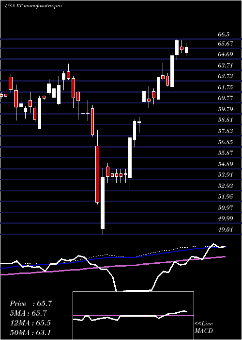 weekly chart IsharesExponential