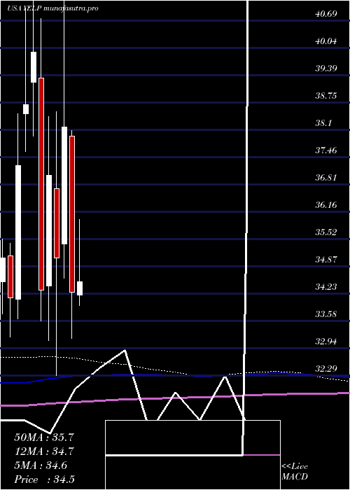 monthly chart YelpInc