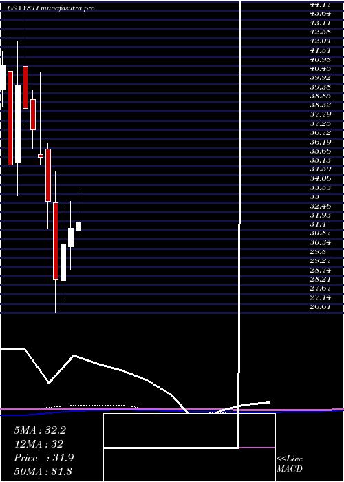 monthly chart YetiHoldings