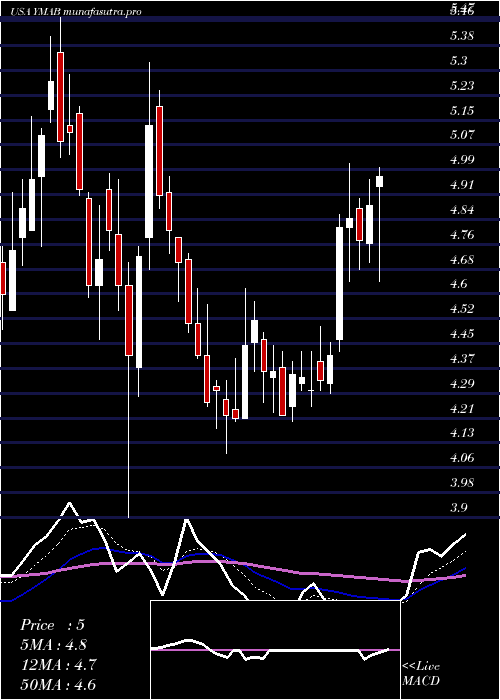  Daily chart YMabs