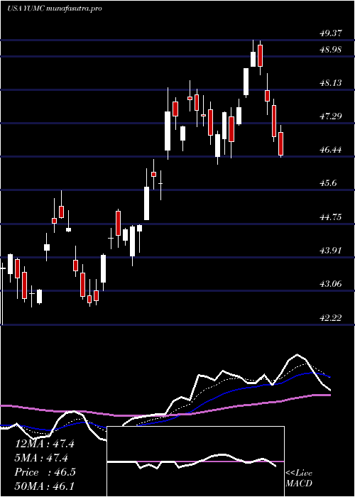  Daily chart YumChina
