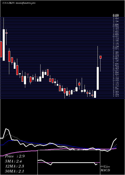 Daily chart ZkInternational