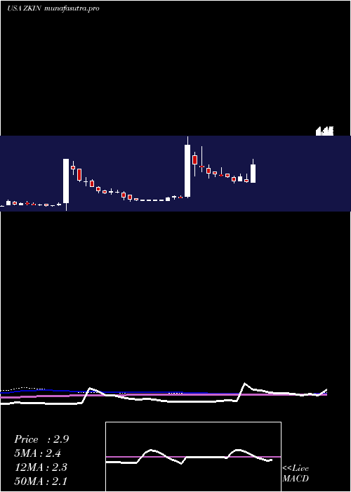 weekly chart ZkInternational