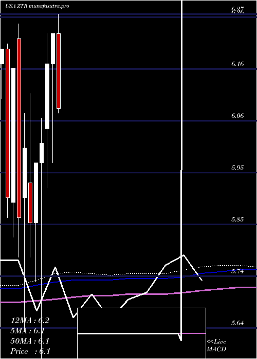 monthly chart VirtusGlobal