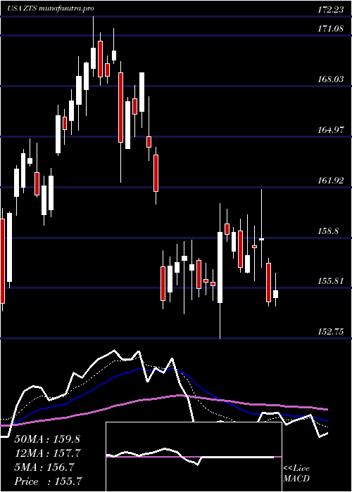 Daily chart ZoetisInc