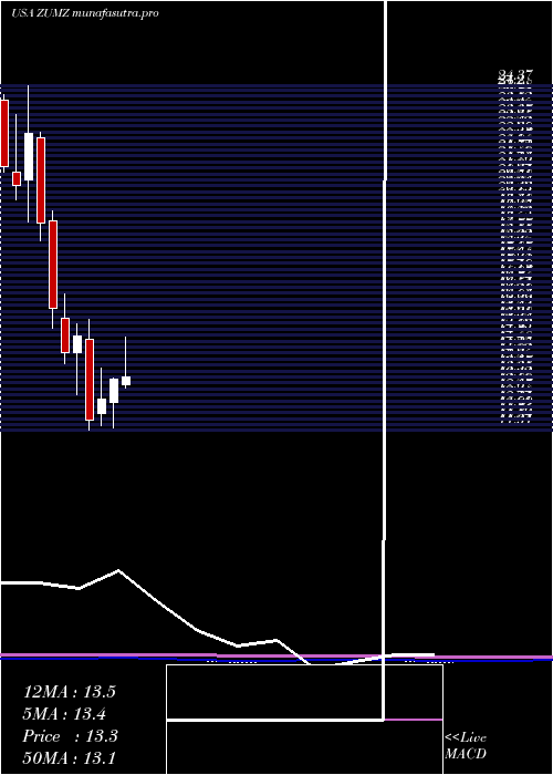 monthly chart ZumiezInc